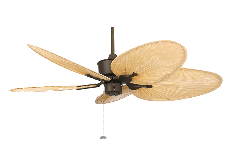 islander fanimation palm blade fan