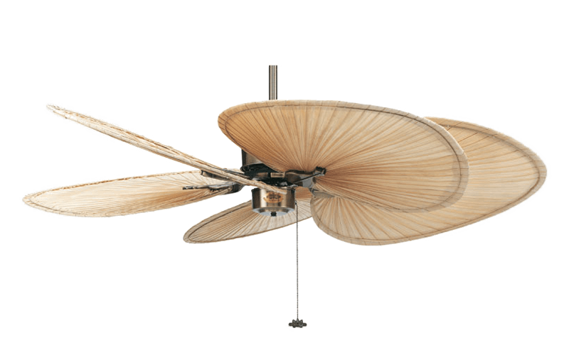 islander fanimation natural palm fan